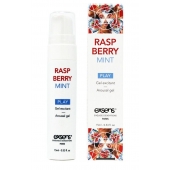 Возбуждающий гель Raspberry Mint с ароматом малины и мяты - 15 мл. - Exsens - купить с доставкой в Таганроге