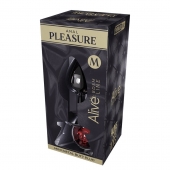 Серебристая анальная втулка Mini Metal Butt Plug Size M с красным кристаллом - Adrien Lastic в Таганроге Серебристая анальная втулка Mini Metal Butt Plug Size M с красным кристаллом - Adrien Lastic