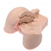 Мастурбатор-полуторс Naked Factory Kate - Naked Factory - в Таганроге купить с доставкой