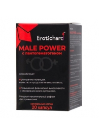 Капсулы для мужчин Erotichard male power с пантогематогеном - 20 капсул (0,370 гр.) - Erotic Hard - купить с доставкой в Таганроге