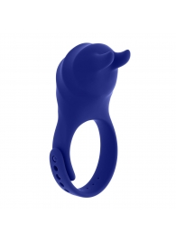 Синее эрекционное виброкольцо с клиторальной подушечкой и пультом ДУ Adjustable Fun Ring - Zero Tolerance - в Таганроге купить с доставкой