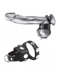 Утяжка для мошонки и пениса Cock Ring With 1  Ball Stretcher And Optional Weight Ring - BlueLine - купить с доставкой в Таганроге