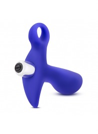 Синий стимулятор простаты с ручкой-кольцом Performance Prostimulator 02 - Blush Novelties - в Таганроге купить с доставкой