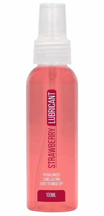 Лубрикант на водной основе с ароматом клубники Strawberry Lubricant - 100 мл. - Shots Media BV - купить с доставкой в Таганроге