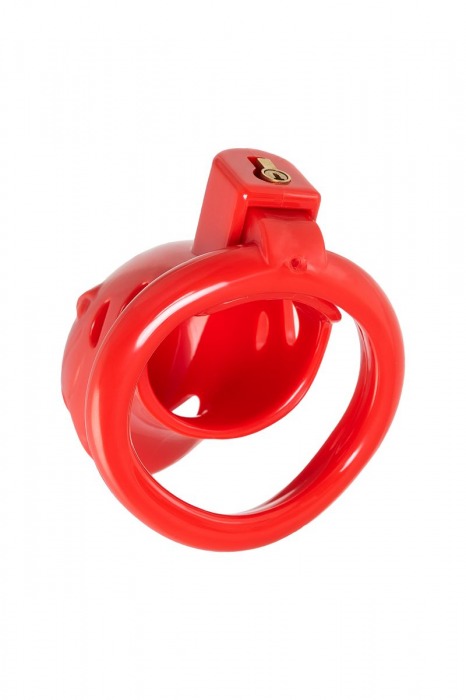 Красный мужской пояс верности из пластика - ToyFa - купить с доставкой в Таганроге