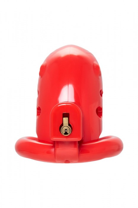 Красный мужской пояс верности из пластика - ToyFa - купить с доставкой в Таганроге