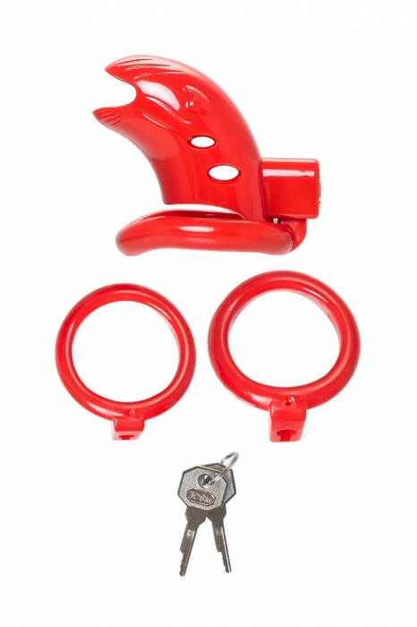 Красный мужской пояс верности из пластика - ToyFa - купить с доставкой в Таганроге