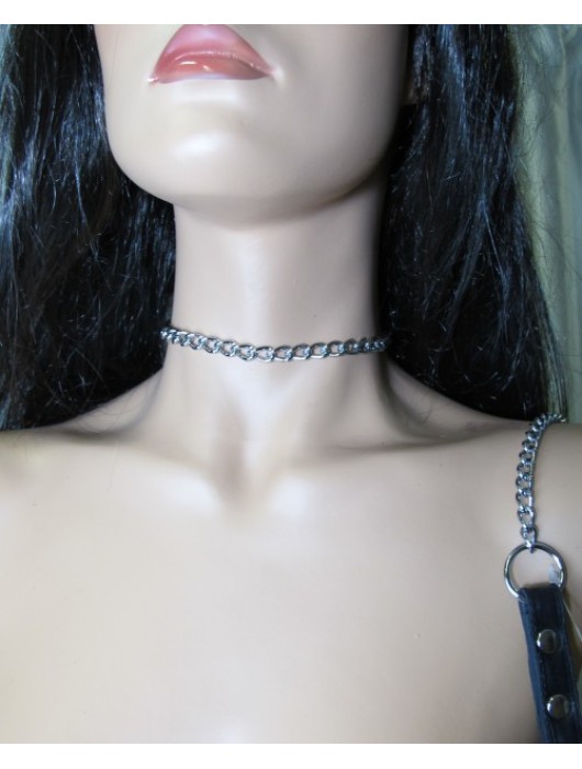 Металлический поводок с кожаной ручкой - БДСМ Арсенал - купить с доставкой в Таганроге