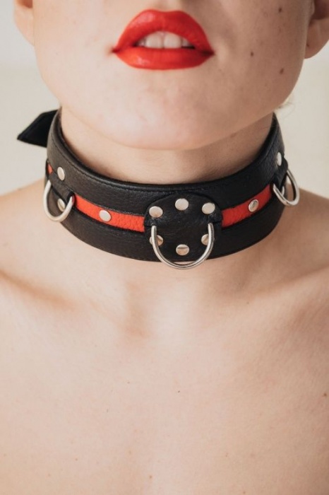 Черно-красный ошейник на пряжке - БДСМ Арсенал - купить с доставкой в Таганроге