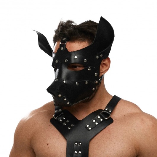 Черная кожаная маска «Собака» - Crazy Handmade - купить с доставкой в Таганроге Черная кожаная маска «Собака» - Crazy Handmade - купить с доставкой в Таганроге