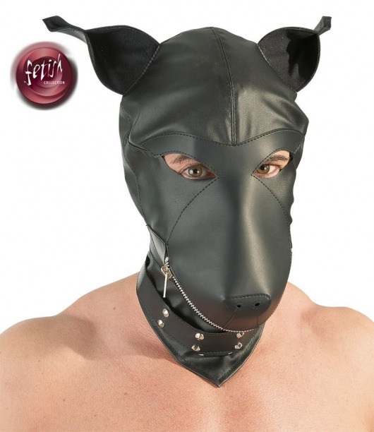 Шлем-маска Dog Mask в виде морды собаки - Orion - купить с доставкой в Таганроге