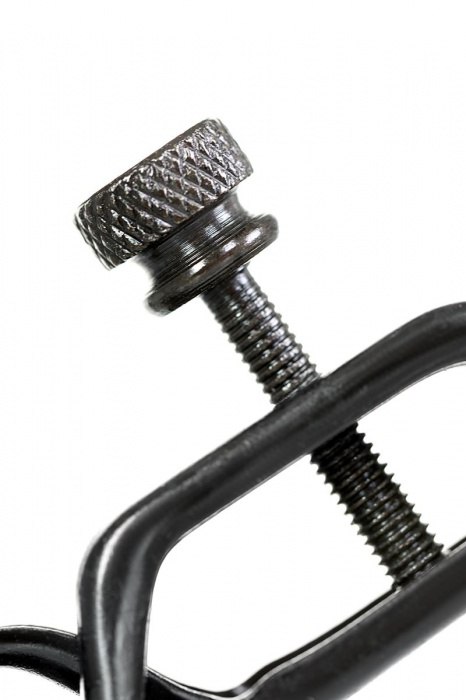 Черно-золотистые зажимы для сосков TOYFA Theatre - ToyFa - купить с доставкой в Таганроге