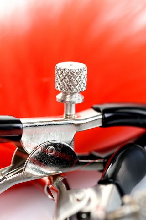 Зажимы для сосков с красным пухом Theatre - ToyFa - купить с доставкой в Таганроге