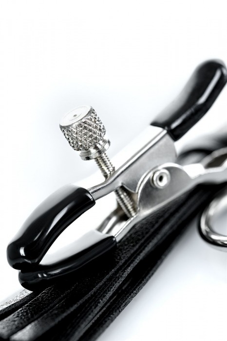 Черно-серебристые зажимы для сосков Theatre с кисточками - ToyFa - купить с доставкой в Таганроге