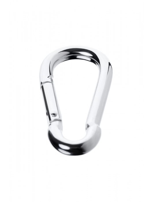 Серебристый карабин TOYFA Metal - ToyFa - купить с доставкой в Таганроге